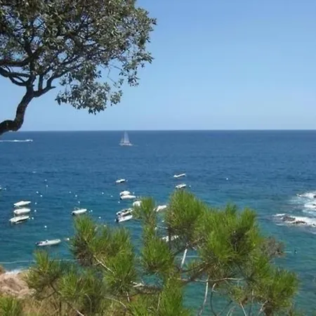 Gemuetliche Ferienwohnung Bei Am Meer Direkt Am Strand Apartamento